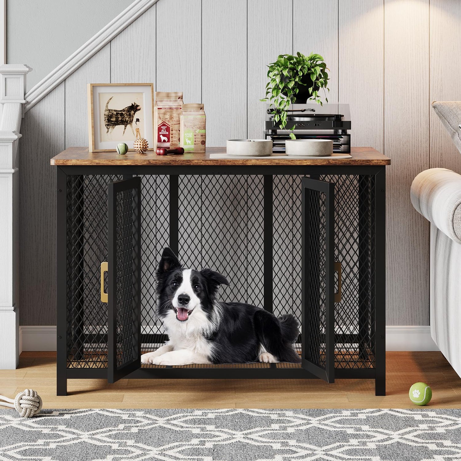 Dog Crates