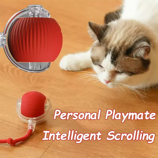 Automatic Interactive Cat Ball, Smart Self-Play Toy with Long Lasting Battery, Chew Proof for Cats Kittens