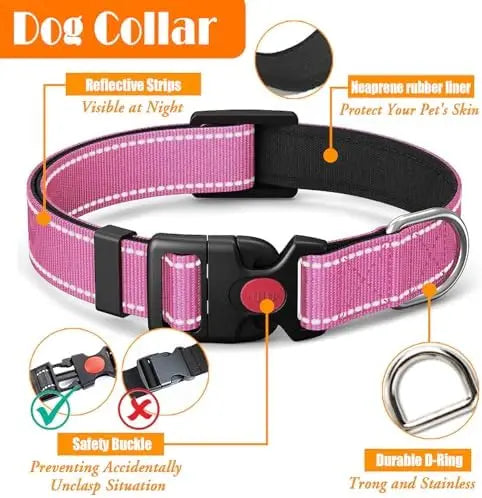 Training Kit for Dogs: LOBEVE No Pull Harness with Collar & Leash Set