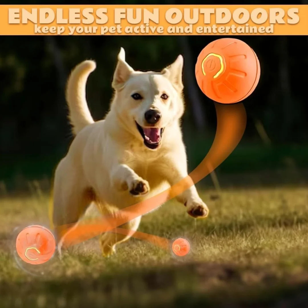 Smart Bouncing Electric Pet Ball, Automatic Random Motion Toy, Durable Chew-Resistant for Cats and Dogs